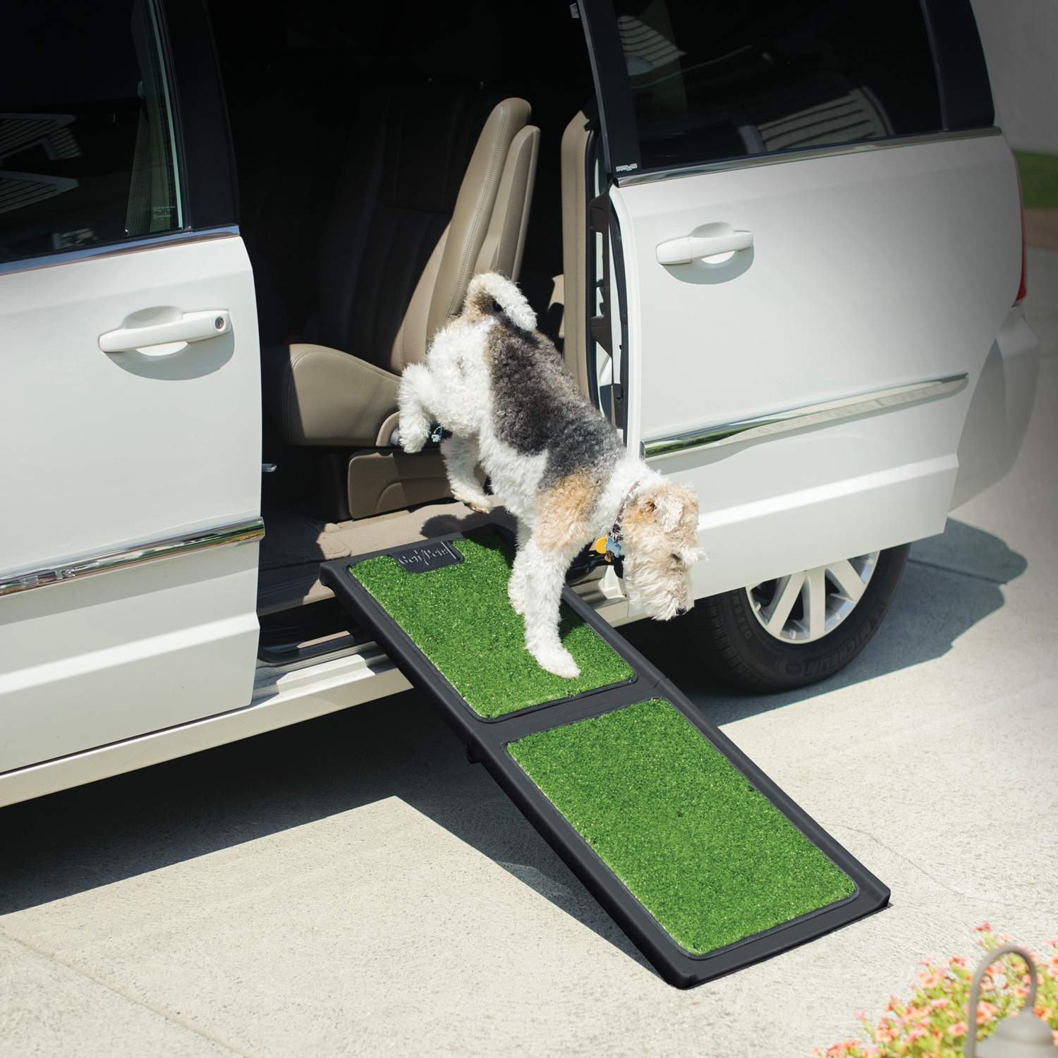 42 inches Ramp Grass
